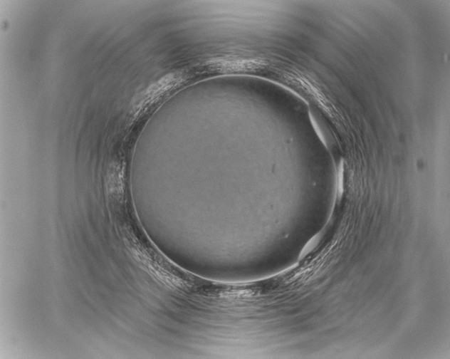 X0000060240357200510281125