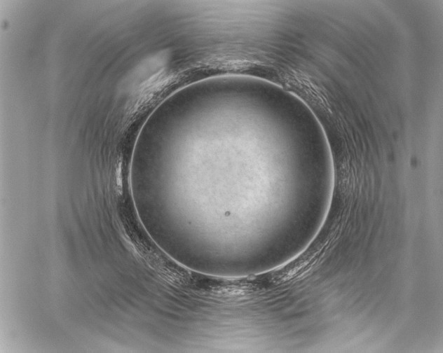 X0000060240358200510281125