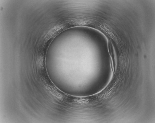 X0000060240359200510281125