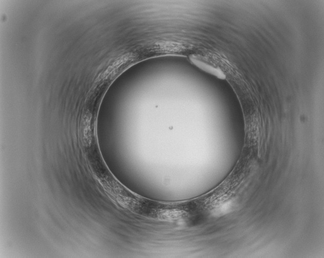 X0000060240360200510281125