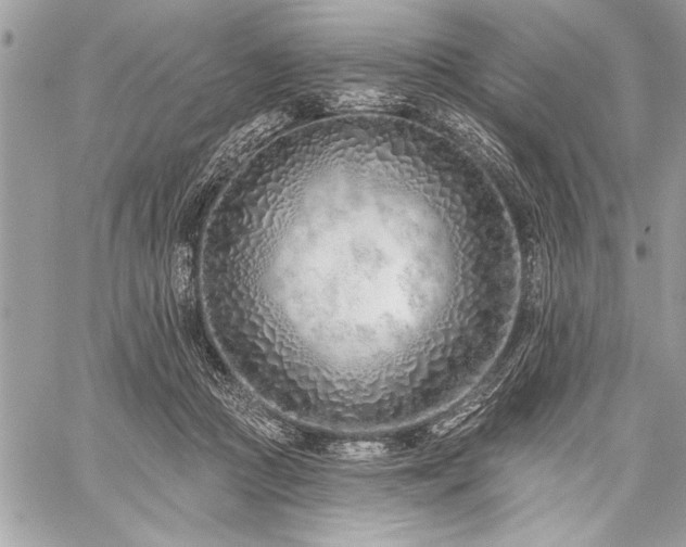 X0000060240361200510281125