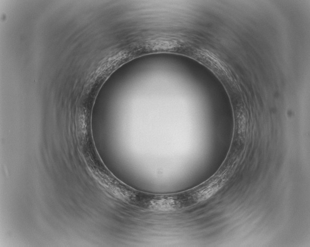 X0000060240362200510281125