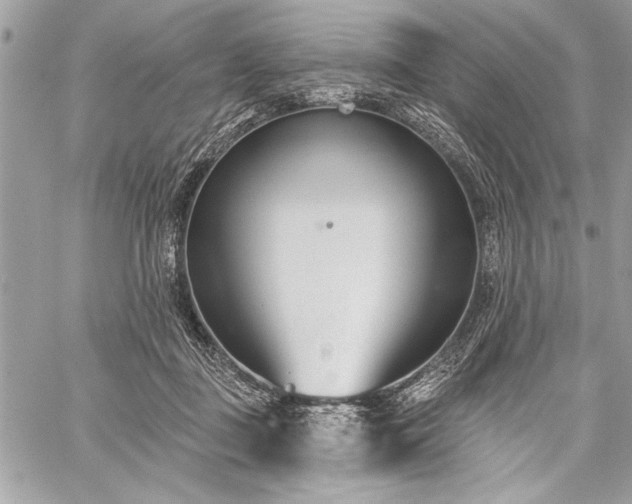 X0000060240363200510281125