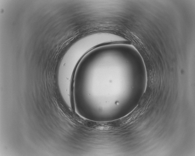 X0000060240364200510281125