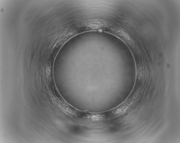 X0000060240365200510281125