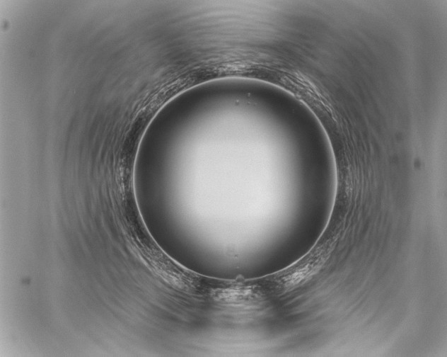 X0000060240366200510281125