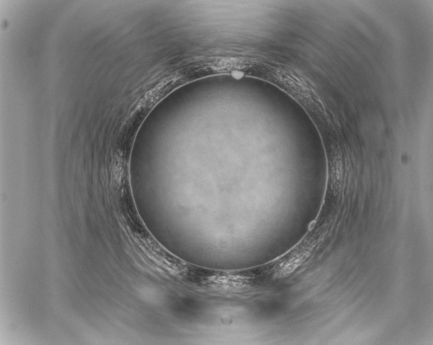 X0000060240367200510281125