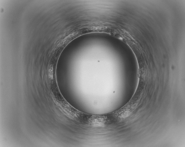 X0000060240368200510281125