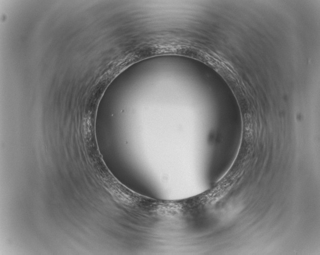 X0000060240369200510281125