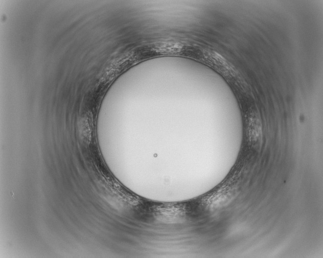 X0000060240370200510281125