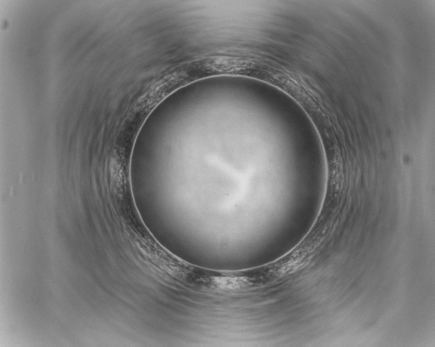 X0000060240371200510281125