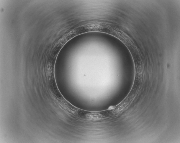 X0000060240372200510281125