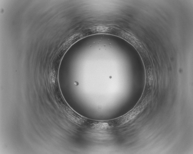 X0000060240374200510281125