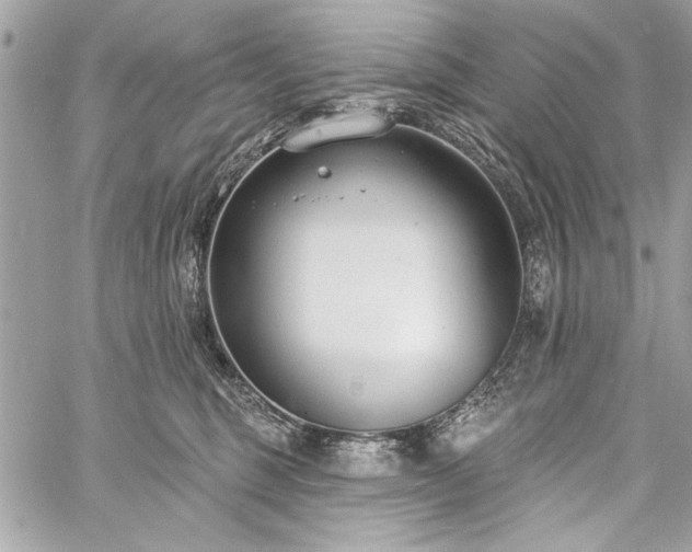 X0000060240375200510281125