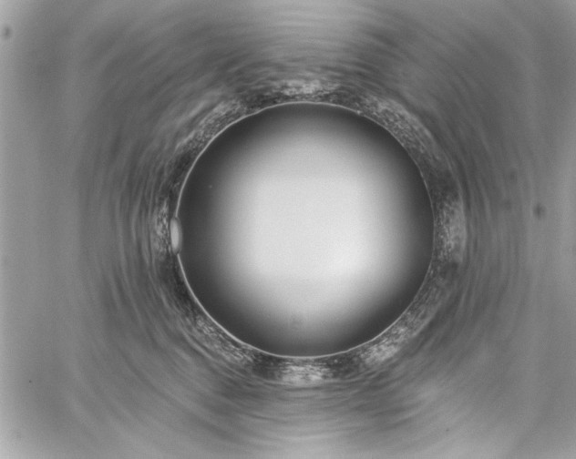 X0000060240376200510281125