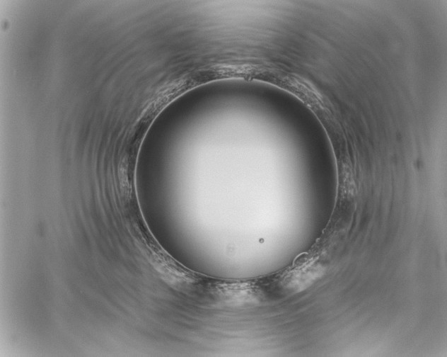 X0000060240377200510281125