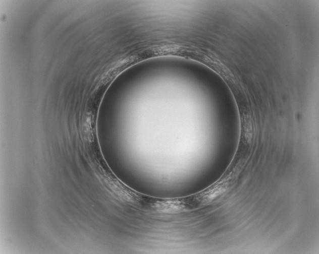 X0000060240378200510281125