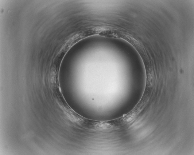 X0000060240379200510281125