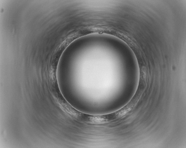 X0000060240380200510281125