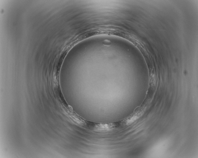 X0000060240381200510281125