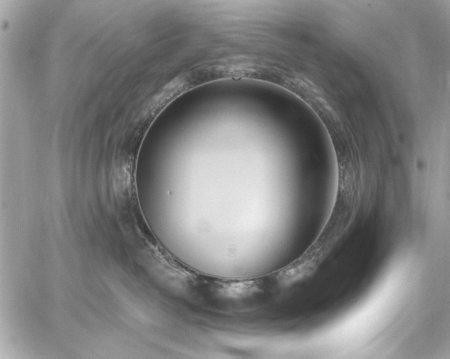 X0000060240382200510281125