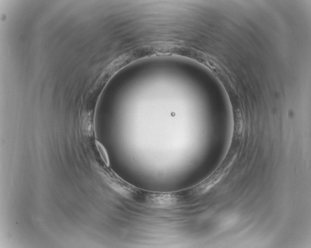 X0000060240383200510281125