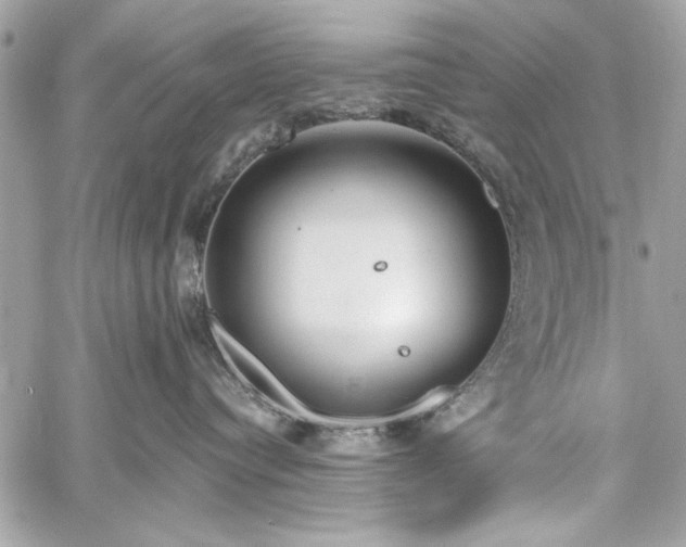 X0000060240384200510281125