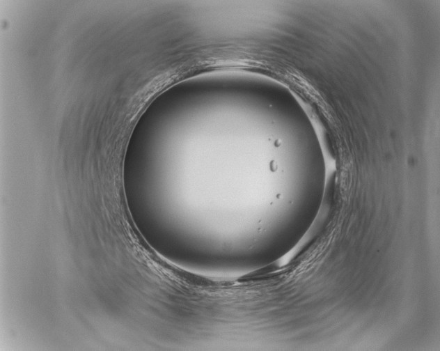 X0000060240385200510281124