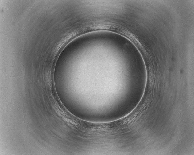 X0000060240386200510281124