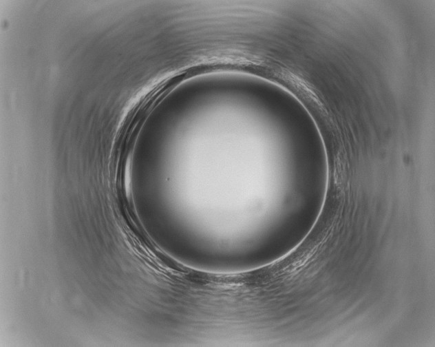 X0000060240388200510281124