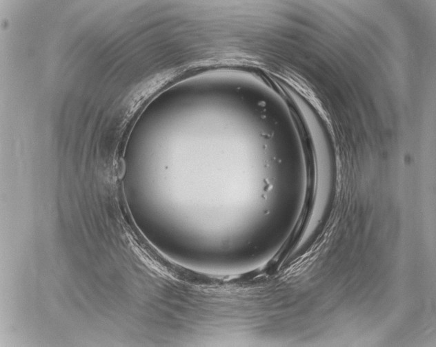 X0000060240389200510281124