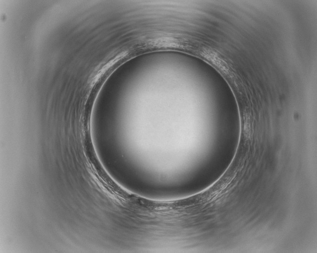 X0000060240390200510281124