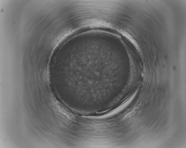 X0000060240391200510281124