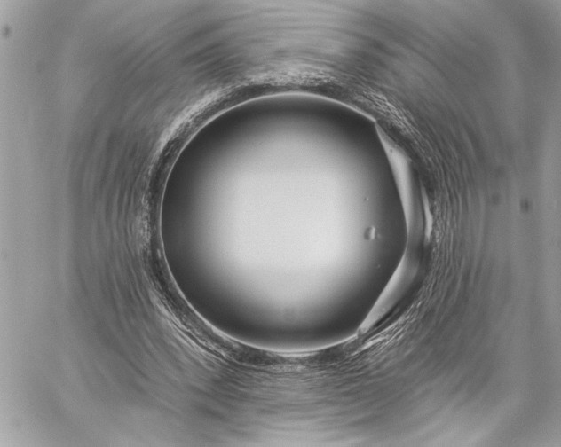 X0000060240392200510281124