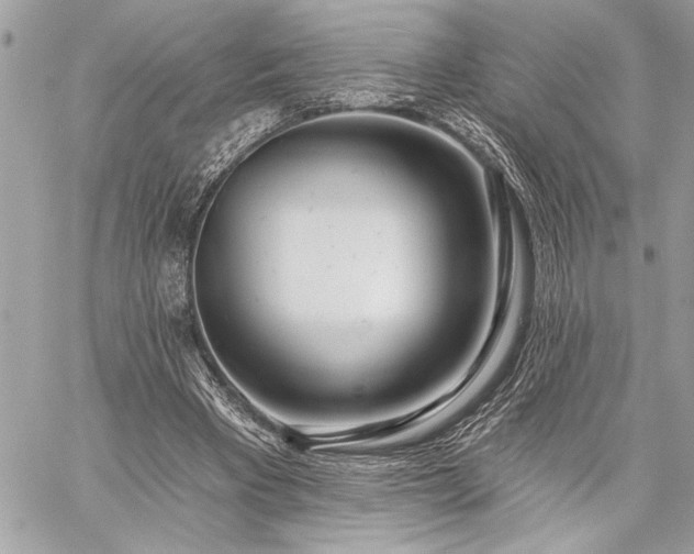 X0000060240393200510281124