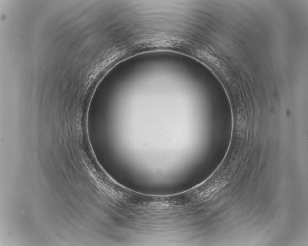 X0000060240394200510281124