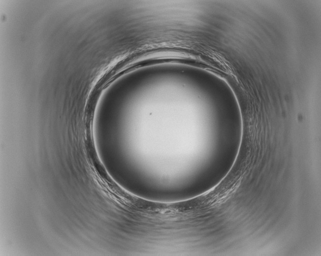 X0000060240395200510281124