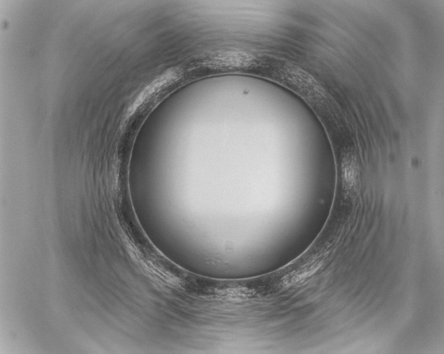 X0000060240396200510281124