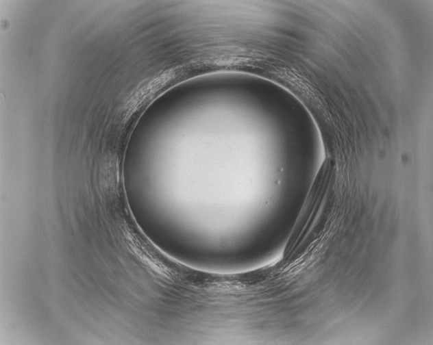 X0000060240397200510281124