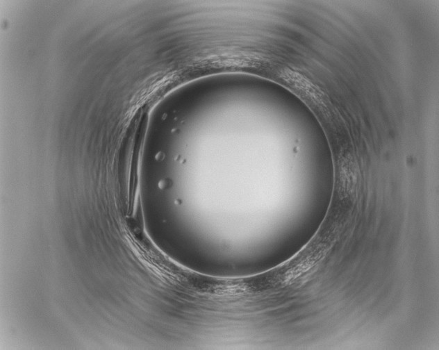 X0000060240398200510281124