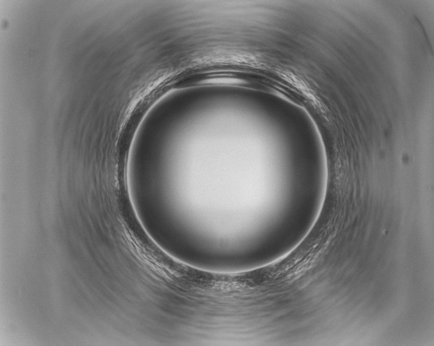 X0000060240399200510281124