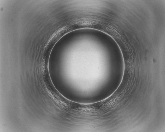 X0000060240400200510281124