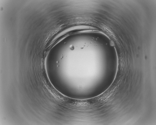 X0000060240401200510281124