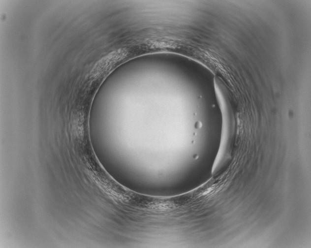 X0000060240402200510281124