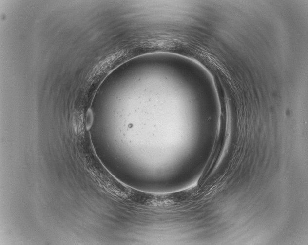 X0000060240403200510281124