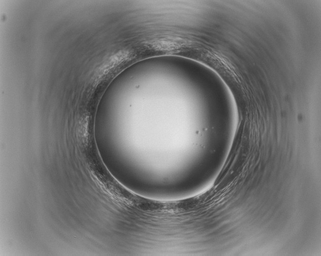 X0000060240404200510281124