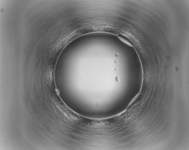 X0000060240405200510281124