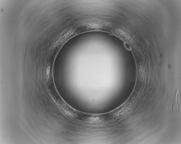 X0000060240406200510281124