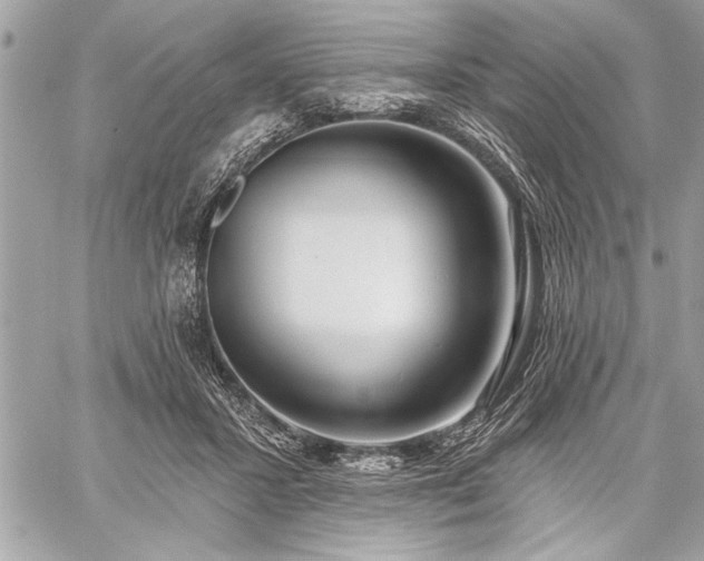 X0000060240407200510281124