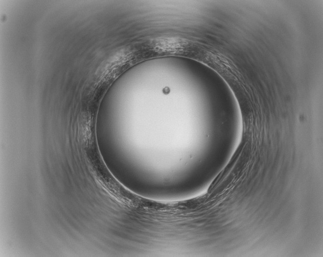 X0000060240408200510281124